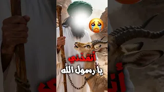 غزالة مكب لة نادت على النبي ﷺ فحدثت معجزة أبكت الصي اد وأسلم بسببها 