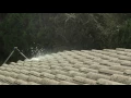 Demonstration of how to use Nilfisk roof cleaner