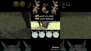 ارتفاع سعر الحمار بتركيا تاغ لصاحبك الحمار باركلو ب ارتفاع سعرو رح تصير مليونير اذا بعت كل صحابك   دندنها