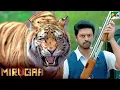 Download Lagu कन्हैया का सामना बाघ से | Mirugaa | New Hindi Dubbed Movie | Srikanth, Naira Shah, Raai Laxmi