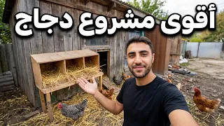 دكتور زراعي وصل من أمريكا خصيصاً حتى يساعدني بمزرعتي واللي سويناه بمشروع الدجاج فاجأني! 😳🐔🔥