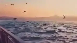 حاله واتس نخبي ليه في اسرارنا 