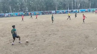                                                دندنها