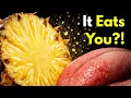 Why Does Pineapple Eat You Back