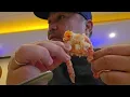 I got so CONFUCIUS - the best chinese restaurant i ve tried so far