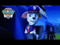 Police Pups - PAW Patrol