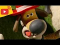 Download Lagu 🔴 LIVE - Shaun the Sheep | Farm TV | Shaun The Sheep 🐑 Cartoons for kids, Preschool