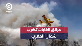 حرائق الغابات تضرب شمال المغرب 