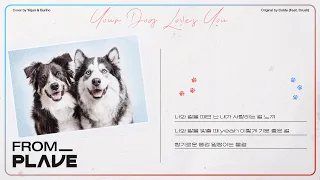  from plave u0026 your dog loves you colde 