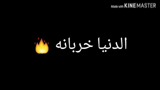 حاله وتس اب مهرجان شقلبتي احساسي انت جنسك ايه 