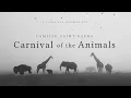 Carnival Of the Animals - Camille Saint-Saëns : A Classical Masterpiece