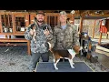 World Champion Rabbit Dogs Picking Up My Beagles From Walnut Creek Kennels