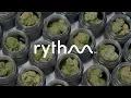 What is RYTHM