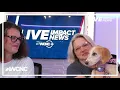 Clear the Shelters Greater Charlotte SPCA on the need to find homes for animals