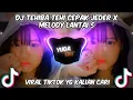 DJ TEHIBA TEHI CEPAK JEDER X MELODY LANTAI 5😻VIRAL TIKTOK 2021🔥