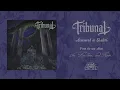 Download Lagu TRIBUNAL - Armoured in Shadow (From 'In Penitence and Ruin' LP, 2025)