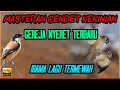 Download Lagu 🔴 MASTERAN CENDET GEREJA TARUNG NYERET PANJANG TERBARU [IRAMA LAGU MEWAH]