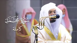 تلاوة تزلزل القلوب وتأسر الجوارح   سورة محمد كاملة بصوت القارئ الشيخ ياسر الدوسري   دندنها
