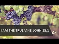Dr William R Glaze - I Heard It Through The Grapevine