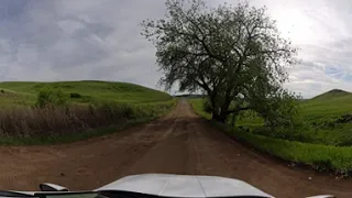                            دندنها