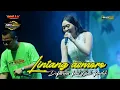 Download Lagu LINTANG ASMORO - OM ADELLA - Voc. Difarina feat Cak fendik ( live New Recinda 2024 )