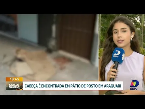 Cabeça encontrada em pátio de posto em Araquari causa susto