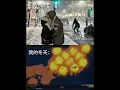 Download Lagu Other people's winter and my winter.🤣