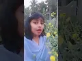 Download Lagu Tujhe dekha to ye jana sanam,DDLJ,moj TikTok video #valentinesday #shorts