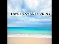 Engaging Jamaican Beach Sounds