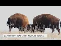Recreating the rolling hills and prairie habitats of Iowa s past at Neal Smith Wildlife Refuge
