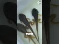 Download Lagu How Tadpoles Transform Into Frogs – The Incredible Process!