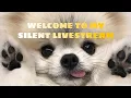 Download Lagu SILENT LIVE STREAMING subscribe my channel🤗.