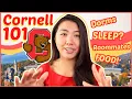 EVERYTHING to know about Cornell University for Prospective Students Freshmen Katie Tracy