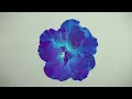 Eydís Evensen - Tranquillant