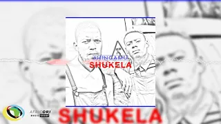shingamu shukela official audio 