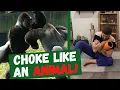 BJJ Basics For Beginners 5 Drills To Improve Your Squeeze