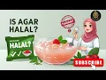 Is Agar Agar Halal Halal Food Guide