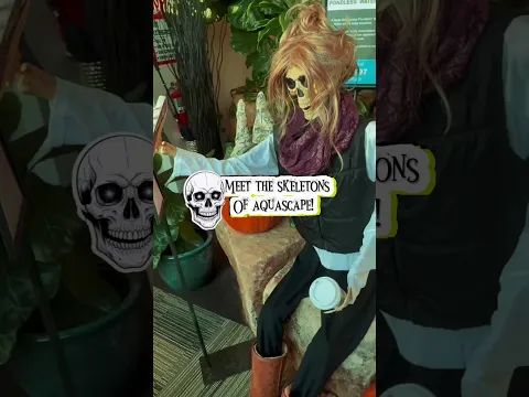Halloween at Aquascape! π»