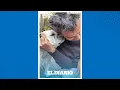 Eugenio Derbez y su familia lamentan la partida de su perrita Fiona El Diario