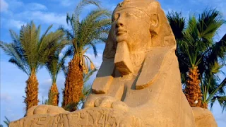 وحشانى بلادى  كارول سماحه دندنها