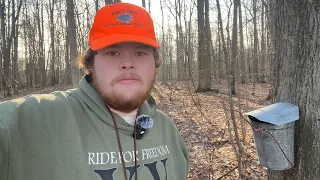 The Woods Are Waking Up