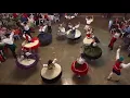Download Lagu Chula Picada - Grupo Folclórico da Portuguesa, Adega da Lusa - Julho/2018
