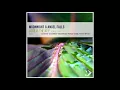 Download Lagu Moonnight \u0026 Angel Falls - Love Is the Key (Dj Artak Remix)