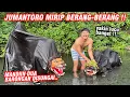 Download Lagu Ketika Jumantoro \u0026 Argani mandi !! GEMES BANGET LIATNYA