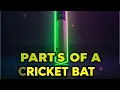 Parts of a Cricket Bat