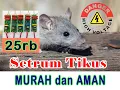 Download Lagu Alat Setrum Tikus Murah Aman 25 ribu