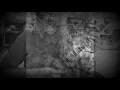Dark Funeral - Open the Gates (guitar cover)