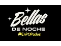 BELLAS DE NOCHE Resumen Conferencia LYN MAY OLGA BREESKIN WANDA SEUX ROSSY MENDOZA