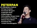 Download Lagu Peterpan - Kumpulan Lagu Peterpan Terbaik |Ku katakan Dengan Indah| Mungkin Nanti |Menghapus Jejakmu