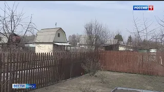 В Омске — бум покупок дачных принадлежностей, рассады и даже садовых участков